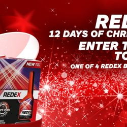 Redex 12 Days of Christmas, Day 6