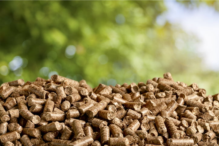 biomassa como combustível