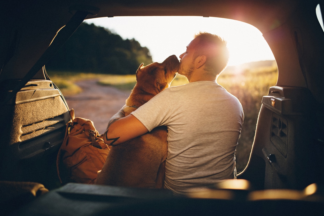 Man and dog in car