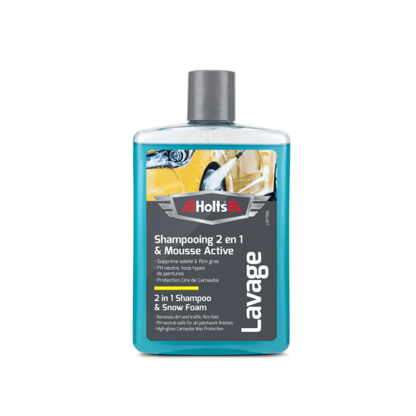 shampooing 2 en 1 et mousse active Holts