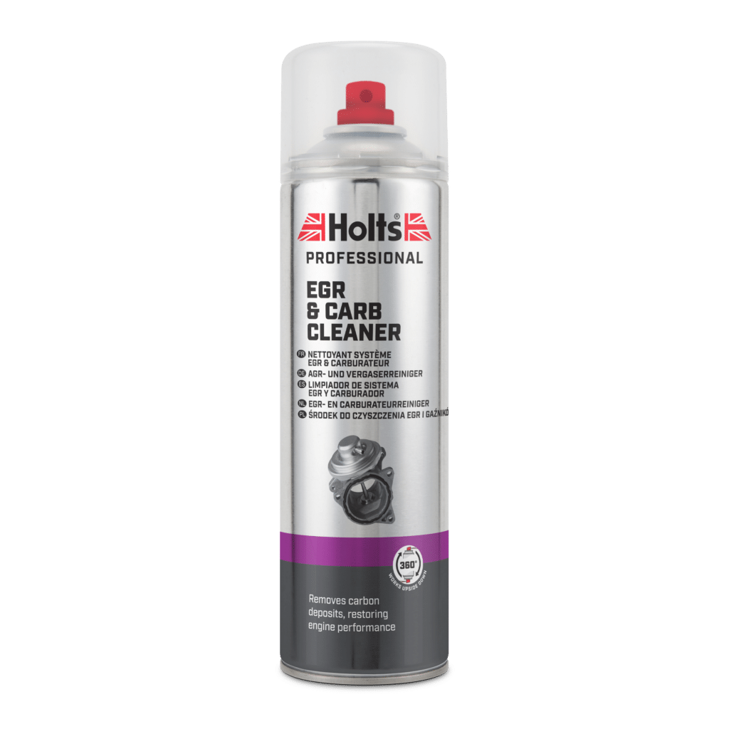 EGR and Carb Cleaner Holts Main