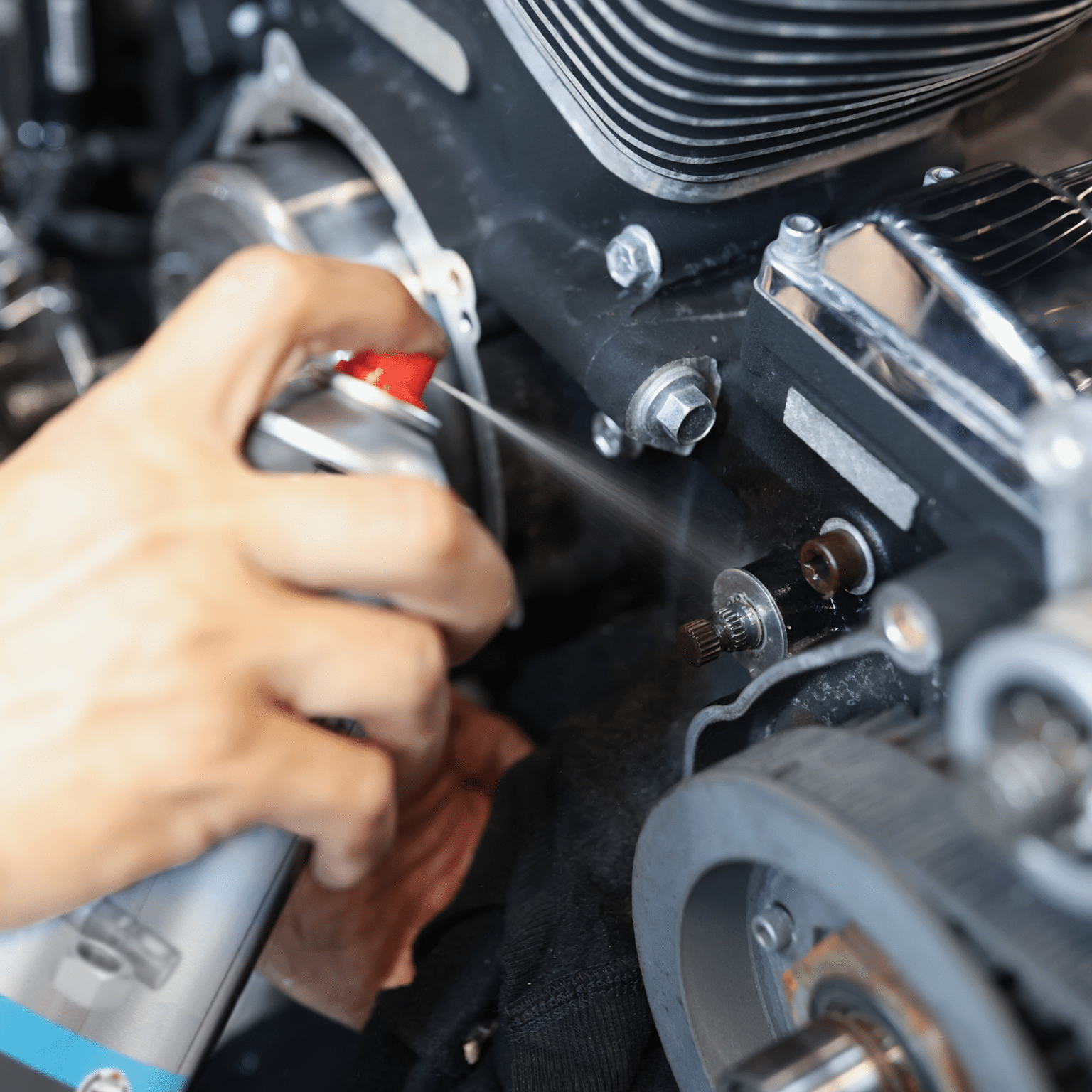 Maintenance Spray Holts