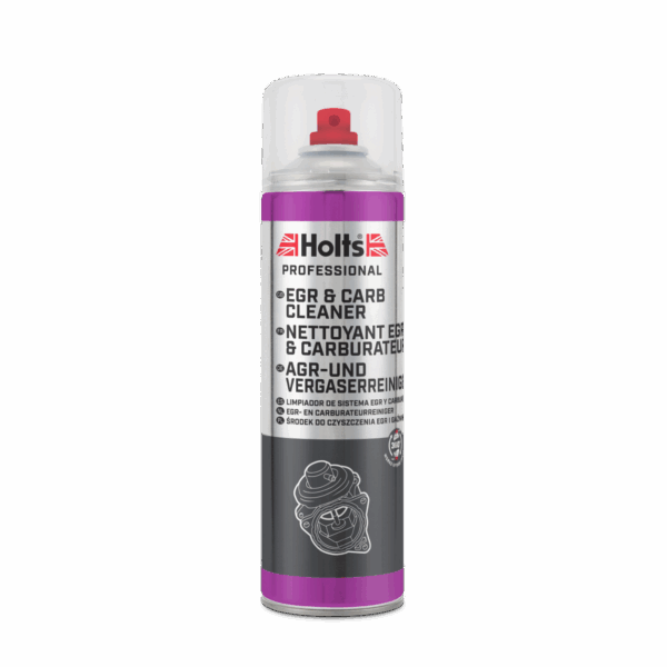 EGR and Carb Cleaner 500ml
